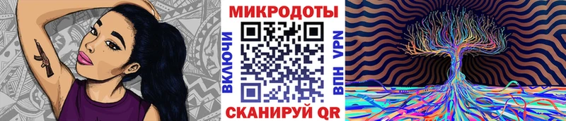 цена Каргат Псилоцибиновые грибы GOLDEN TEACHER