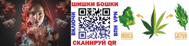 Шишки марихуана Amnesia МЕГА как зайти Каргат что такое